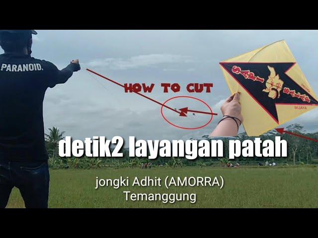 jepret layangan sukhoi sampai patah arkunya #kitefighter #tournamenlayangan