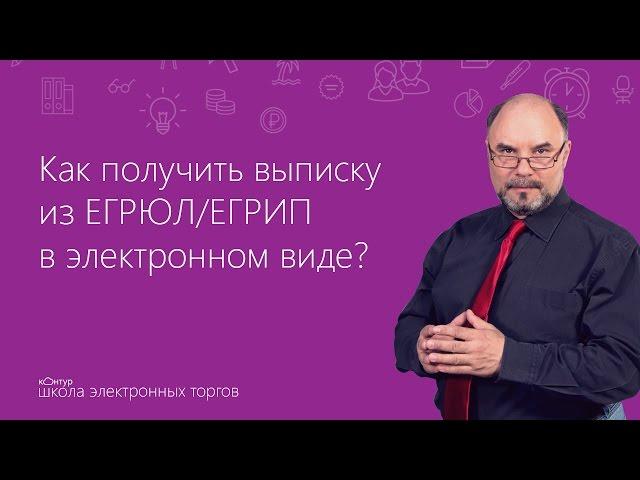 Как получить выписку из ЕГРЮЛ/ЕГРИП в электронном виде?