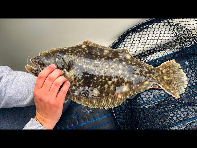 Virginia Flounder Fishing! | How To Catch More Fish!