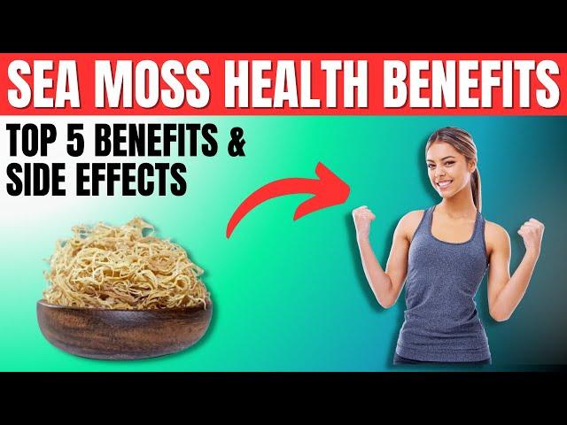 Sea Moss Benefits and Side Effects - 5 Amazing Health Benefits of Sea Moss