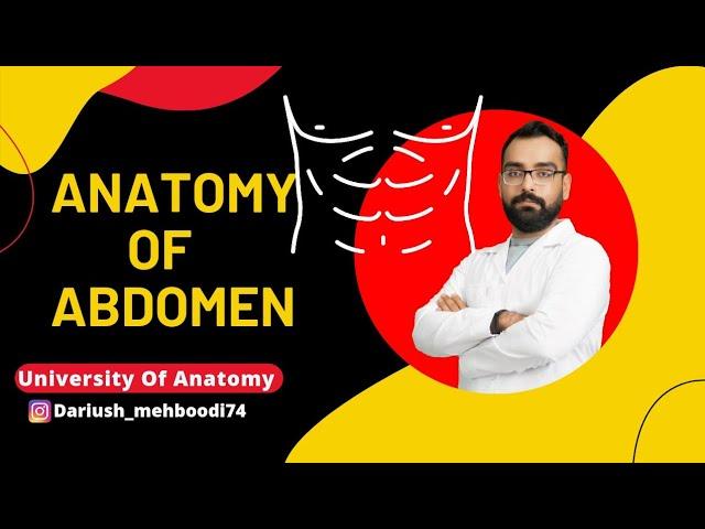 Anatomy Of Abdomen (part1)آموزش آناتومی شکم  جلسه اول