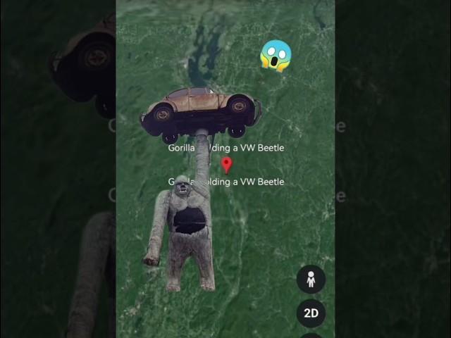 Gorilla lifts a caron Google Earth #shorts #googlemaps #googleearth #armkien