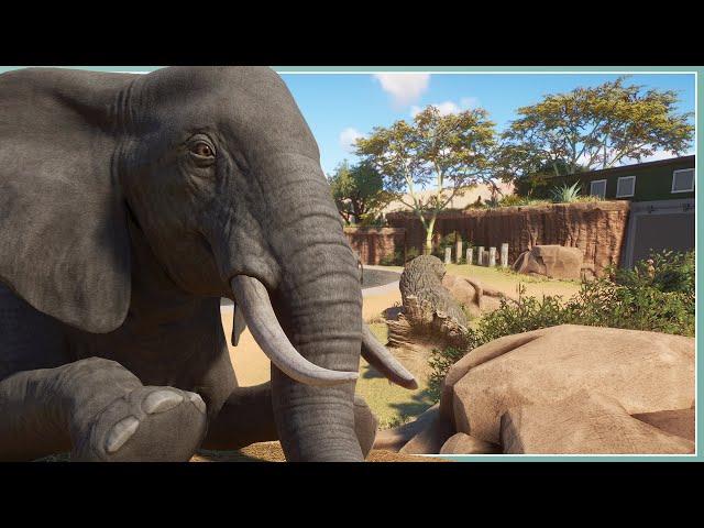 African Elephant Habitat | Planet Zoo Slow Build [No Commentary]