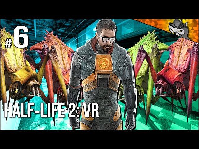 Half-Life 2 in VR | Part 6 | Gordon And The Bug Bros