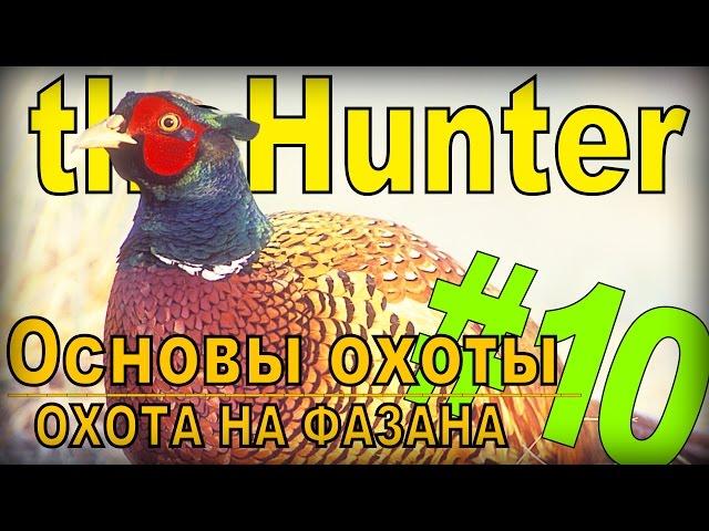 the Hunter - Фазан [Основы охоты] #10