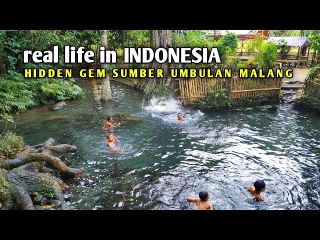 Sumber Umbulan: Exploring the Beauty of Hidden Springs in Ngenep Village, Malang  Indonesia