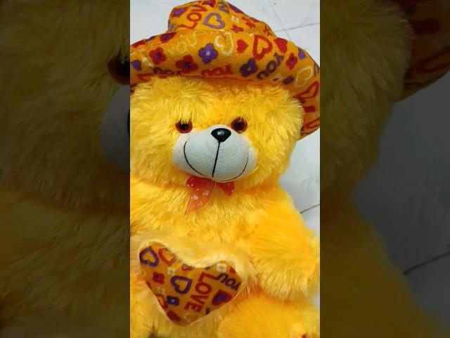 cute tedy bear @550rs only 