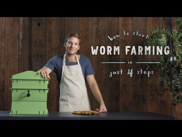 How to start a worm farm in 4 steps: vermiculture made easy