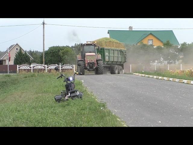 Powerful team: Claas Jaguar 870, MTZ 3022, MAZ trucks at work