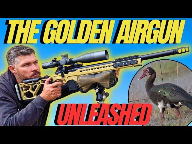 GOLDEN AIRGUN UNLEASHED I FX DRS PRO AIRGUN HUNTING I LONG RANGE HUNTING WITH AIR RIFLE