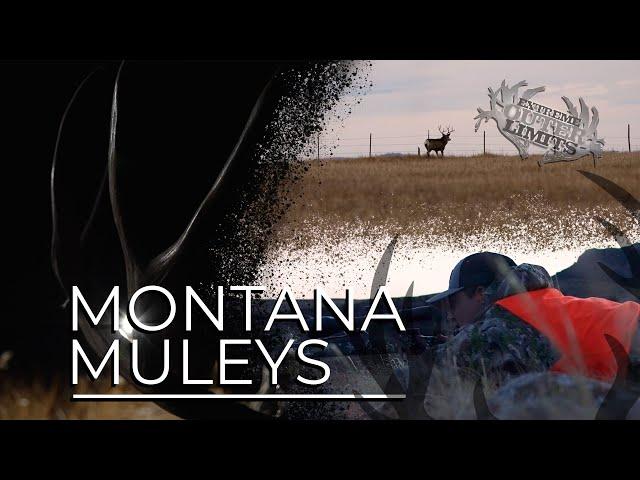 Montana Muleys - Hunting the Plains in Central Montana.