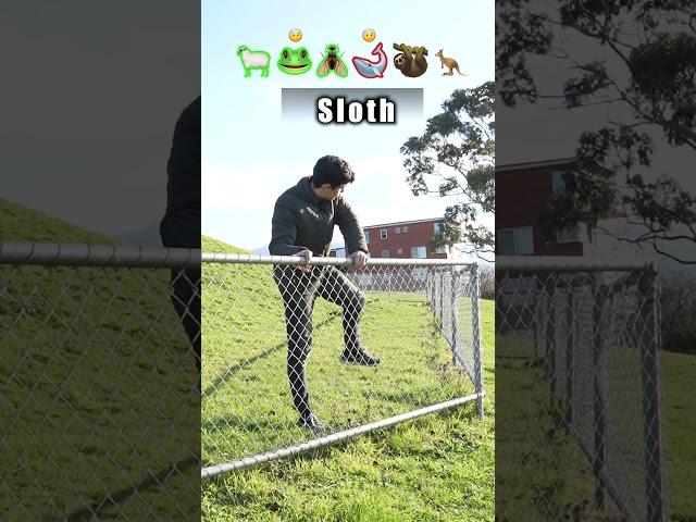 How Animals Get Over a Fence (With Emojis) 