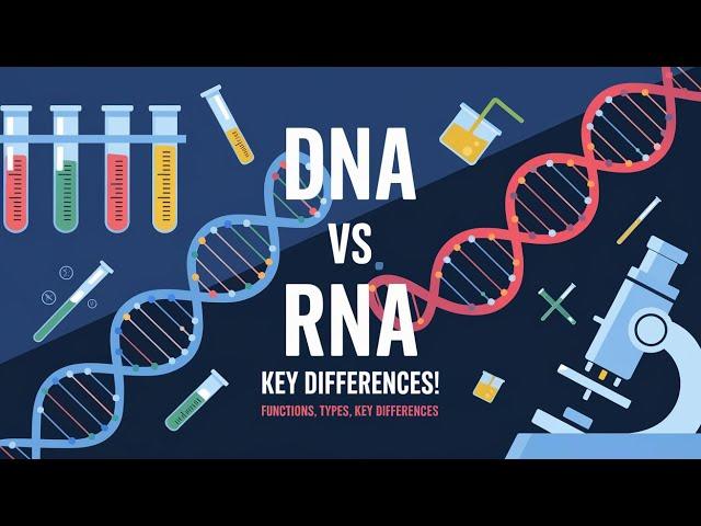 DNA vs RNA: Understanding the Key Differences Explained with Animation