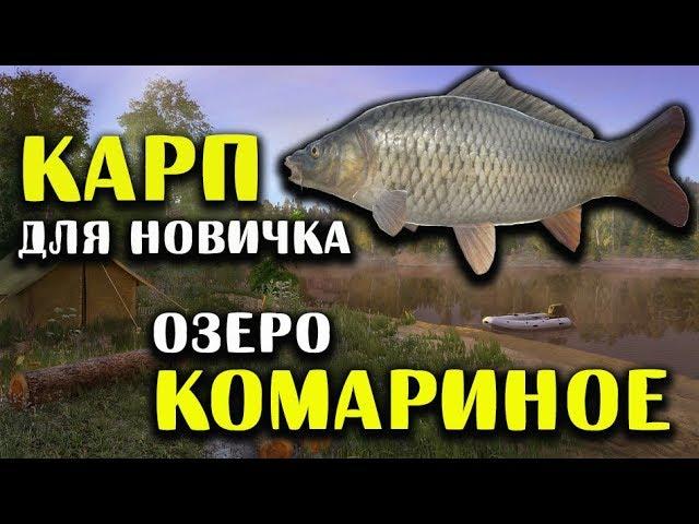 РУССКАЯ РЫБАЛКА 4. Карп Комариное - Где и на что ловить