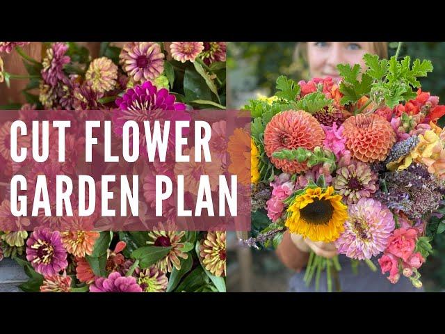 Easy cut flower garden plan from seed!
