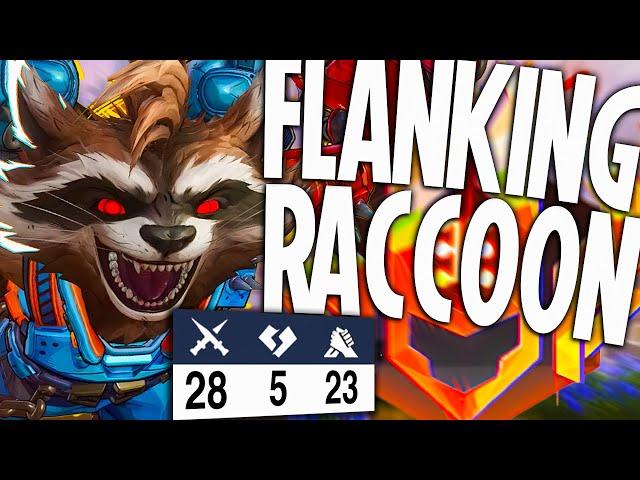 My Flanking Raccoon AGAINST Top 100 DPS