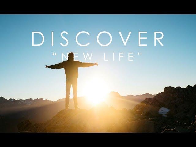 Discover - New Life