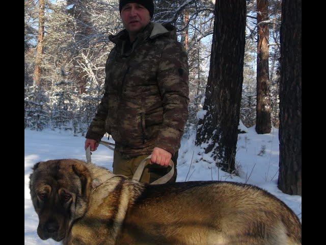 Прогулка по зимнему Лесу и речки в Сибири.