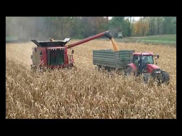 CASE IH 6088 Axial-Flow & Olimac Drago 8/75