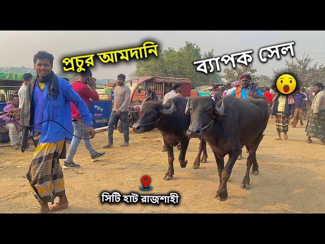 মহিষ কতো নিলো? | সিটি হাট রাজশাহী | ২২ ডিসেম্বর রবিবার