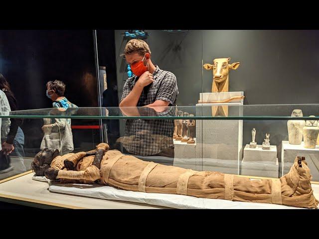 The New Home of Egypt's Mummies: Egyptian Civilization Museum