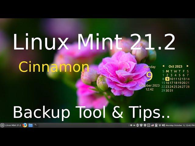 Linux Mint 21.2 - Cinnamon (also EDGE) - The Backup Tool & Tips.