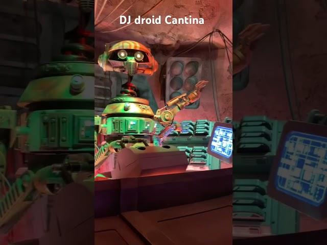 DJ droid in the Cantina  ￼#disney #cantina #galaxysedge