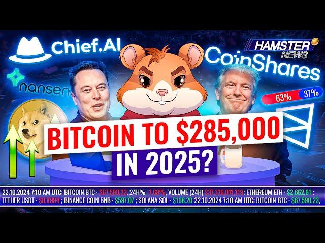 AI predicts cancer, DOGE soars after Musk’s comment, Bitcoin 2025 outlook ️ Hamster News