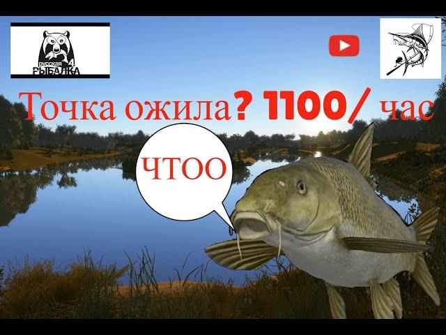 Усач ахтуба | Раздача рр4 | Русская рыбалка 4 | russian fishing 4 | русская рыбалка 4 ахтуба