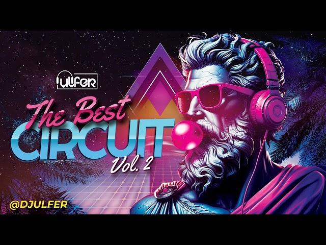 THE BEST CIRCUIT 2024 VOL.2 - DJ ULFER #circuit #tribal #2024