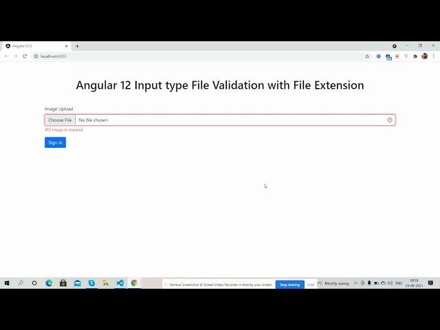 Angular 12 Input type File Validation with File Extension