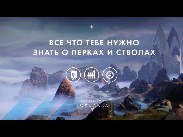 Все что тебе нужно знать о перках и стволах в Destiny 2