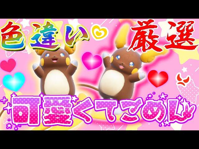 【ポケモン】今しかできない色証アローラライチュウ集める会！！！