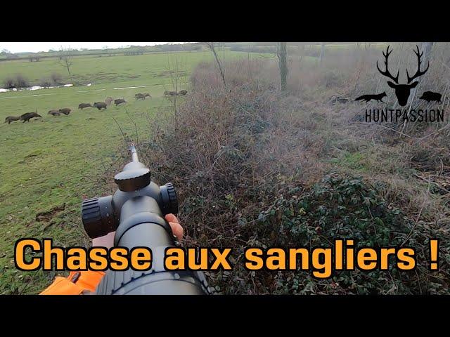 Chasse aux Sangliers 2021 - Une belle compagnie !