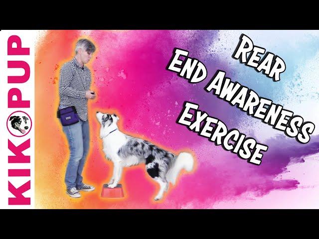 Rear End Awareness Exercise - Professional Dog Training