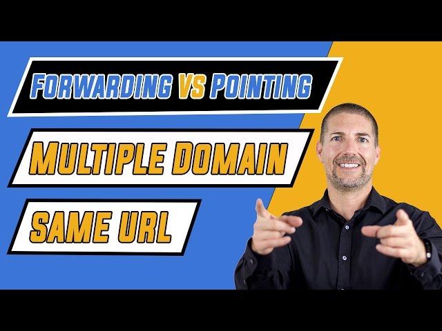 SEO: Forwarding Vs Pointing Multiple Domain Names to Same URL