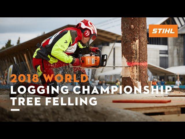 STIHL 2018 World Logging Championship: Tree Felling ꘡ STIHL