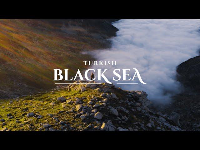 See The Black Sea, Feel Alive