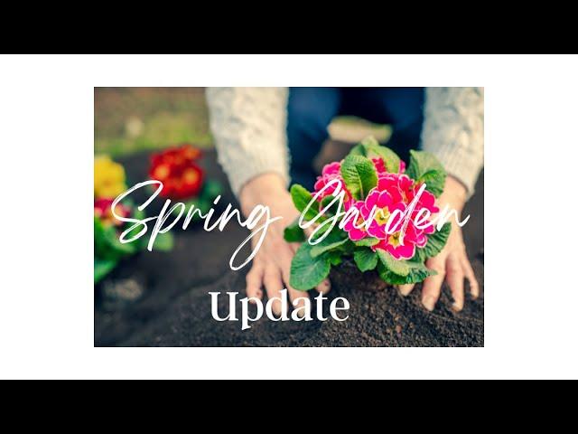 Spring Garden Update