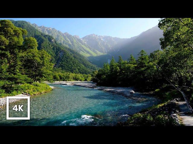 4K UHD Asusa River Ambience | Serene Nature River Sounds for Sleep and Relax | 6 Hours