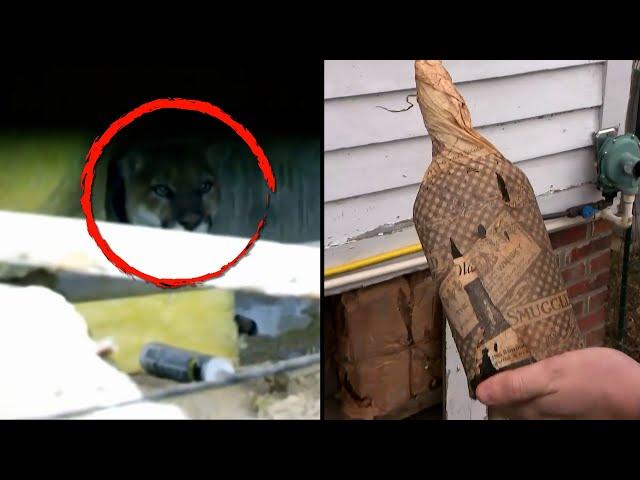 Odd Things These People Found Under Their Homes