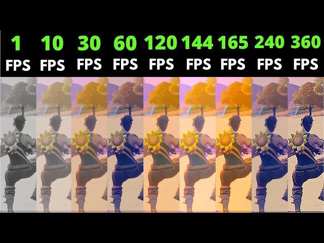 Fortnite 1fps vs 10fps vs 30fps vs 60fps vs 120fps vs 144fps vs 165fps vs 240fps vs 360fps