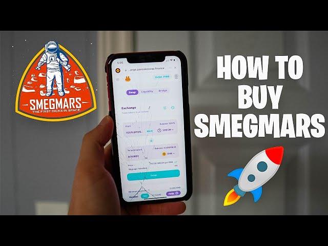 How to Buy SMEGMARS Coin on Trust Wallet  (1000x Potential?!)