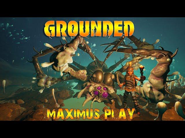 Заражённая мать паучиха ► Битва ► Grounded