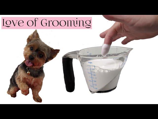 How to Froth Dog Shampoo | Bathing a Yorkie with Froth