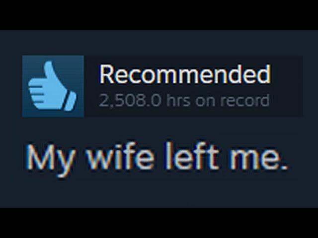 the funniest steam reviews