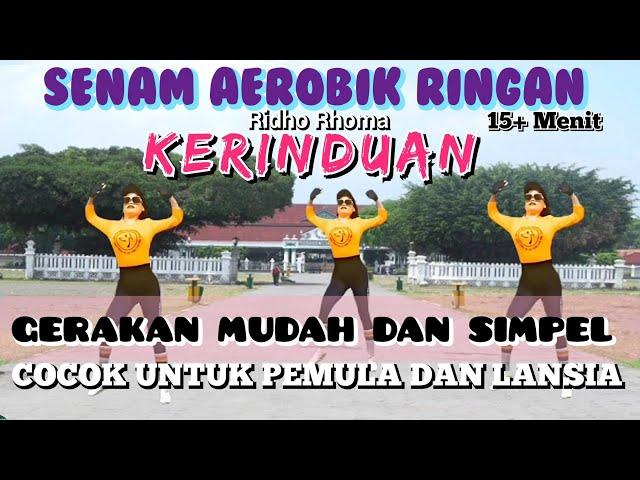 15 MENIT AEROBIC RINGAN - SENAM COCOK UNTUK PEMULA & LANSIA 