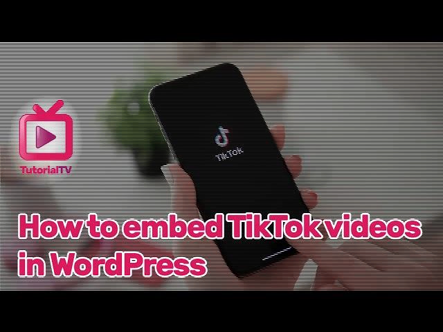 How to Embed TikTok Videos in WordPress | Tutorial.TV