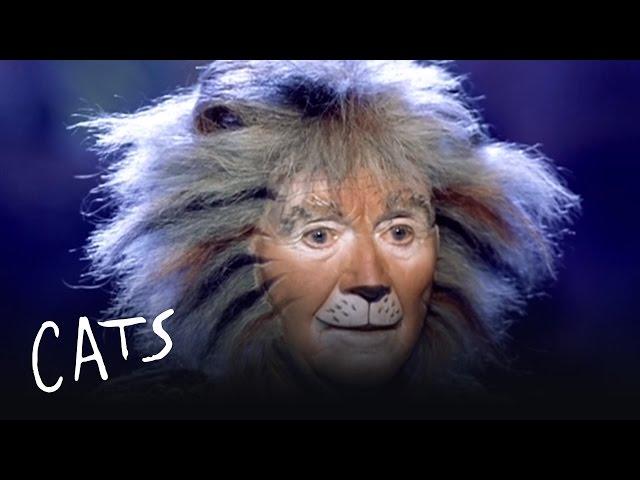 Gus the Theatre Cat Part 1 | Cats the Musical