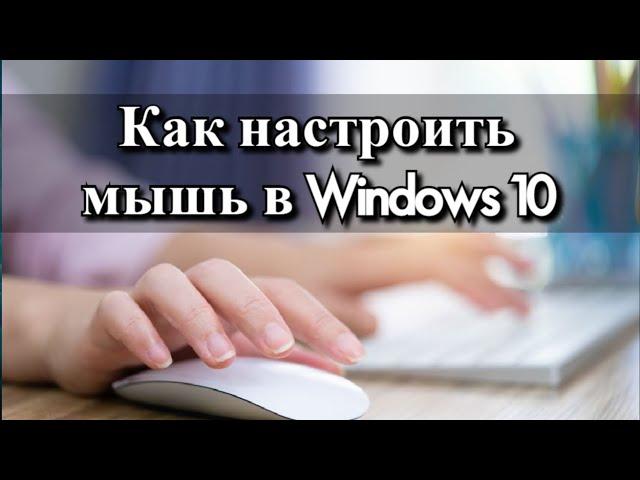 Как настроить мышь в Windows 10?